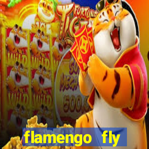 flamengo fly emirates ultimas noticias